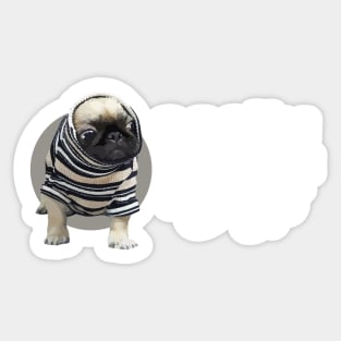 Easily Distracted By Dogs - Pug Sticker